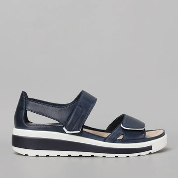 ZIERA - GEDD W ZR - NAVY/WHITE